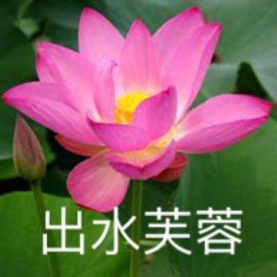 果盘狂怒游戏官方下载